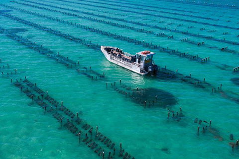 Experience Coffin Bay Short And Sweet Oyster Farm Tour - Foster Accommodation 7