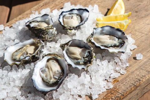 Experience Coffin Bay Short And Sweet Oyster Farm Tour - Foster Accommodation 3