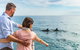 Adelaide Ocean Safari - Wild Dolphin Safari - thumb 1