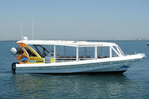 Adelaide Ocean Safari - Wild Dolphin Safari - Foster Accommodation 0