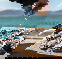 Experience Coffin Bay Oyster Farm and Bay Tour - Foster Accommodation