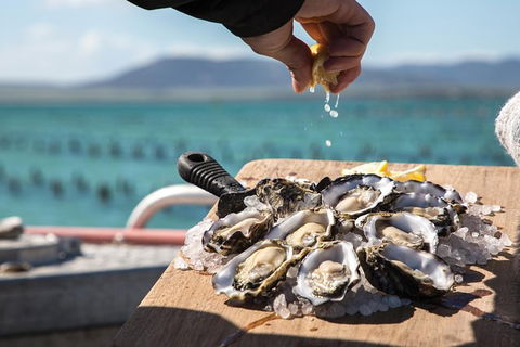 Experience Coffin Bay Oyster Farm And Bay Tour - Foster Accommodation 0