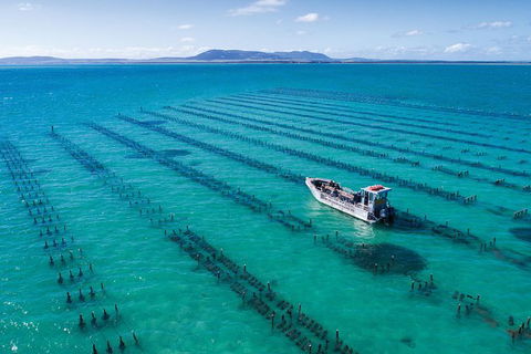 Experience Coffin Bay Oyster Farm And Bay Tour - Foster Accommodation 1