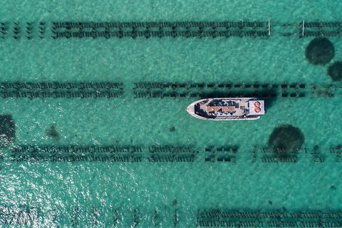 Experience Coffin Bay Oyster Farm And Bay Tour - Foster Accommodation 4