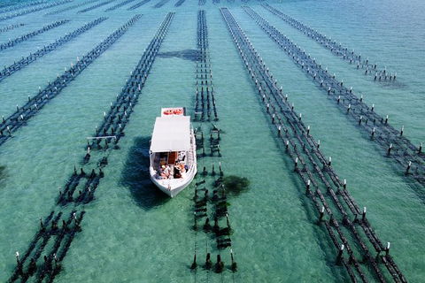Experience Coffin Bay Oyster Farm And Bay Tour - Foster Accommodation 8