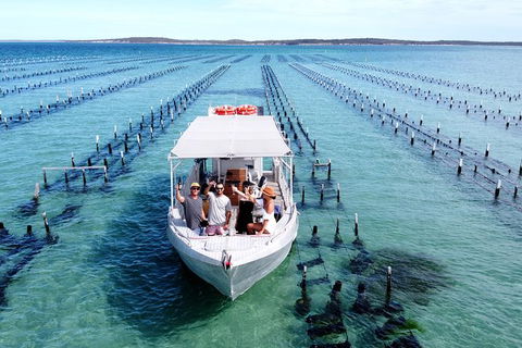 Experience Coffin Bay Oyster Farm And Bay Tour - Foster Accommodation 12