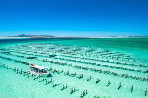 Experience Coffin Bay Oyster Farm And Bay Tour - Foster Accommodation 7