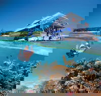 3-Day Southern Great Barrier Reef Tour Including Lady Musgrave Island - Foster Accommodation
