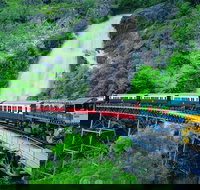 Full-Day Tour with Kuranda Scenic Railway Skyrail Rainforest Cableway and Hartley's Crocodile Adventures from Cairns - Foster Accommodation