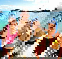 Moreton Island Snorkel and Sandboarding 4WD Day Trip from Brisbane - Foster Accommodation