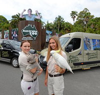 Small-Group Australia Zoo Day Trip from Brisbane - Foster Accommodation