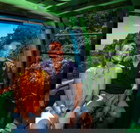 Skyrail Rainforest Cableway Day Trip from Palm Cove - Foster Accommodation