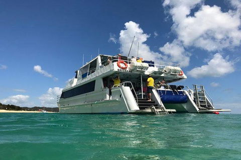 Eco Marine Safari - Boom Netting & Snorkeling Moreton Island - Fortitude Valley - Foster Accommodation 0
