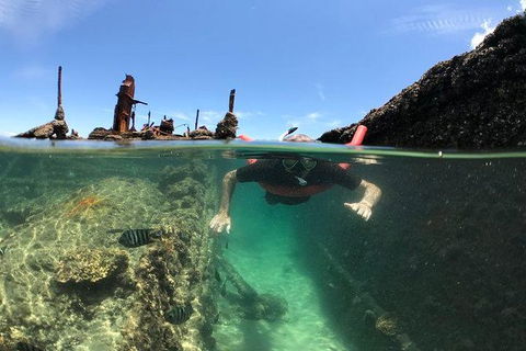 Eco Marine Safari - Boom Netting & Snorkeling Moreton Island - Fortitude Valley - Foster Accommodation 1