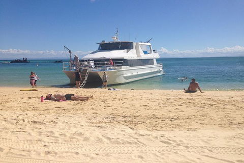 Eco Marine Safari - Boom Netting & Snorkeling Moreton Island - Fortitude Valley - Foster Accommodation 11