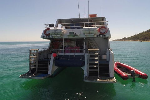 Eco Marine Safari - Boom Netting & Snorkeling Moreton Island - Fortitude Valley - Foster Accommodation 13