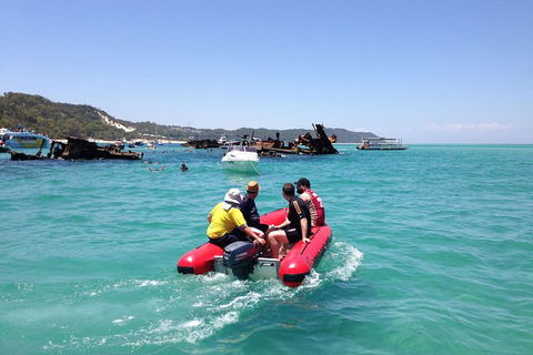 Eco Marine Safari - Boom Netting & Snorkeling Moreton Island - Fortitude Valley - Foster Accommodation 3