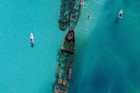 Eco Marine Safari - Boom Netting & Snorkeling Moreton Island - Fortitude Valley - Foster Accommodation 8