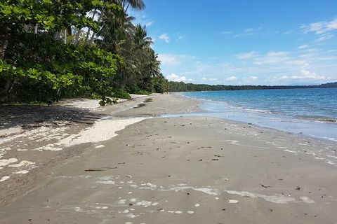 Airport Transfers Between Cairns Airport And Port Douglas - Foster Accommodation 4