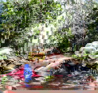 Rainforest Platypus Night Dive Certified Divers Only once day dive completed - Foster Accommodation