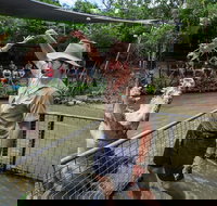 Hartley's Crocodile Adventures Day Trip from Cairns - Foster Accommodation