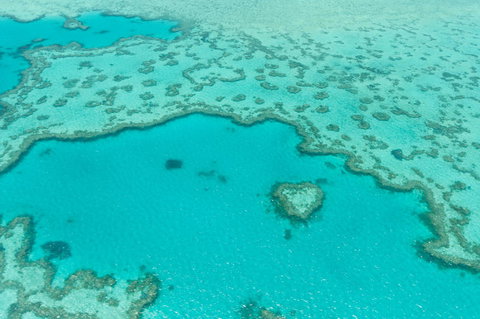 Whitsundays Seaplane Tours - Foster Accommodation 2