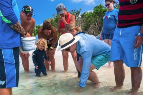 Whitehaven Beach And Hill Inlet Chill And Grill - Foster Accommodation 1