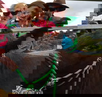 Mackay's Day in the Clouds Paddock to Plate Tour - Foster Accommodation