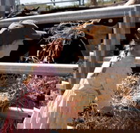 Mackay Farm Food and Flavours Tour - Foster Accommodation