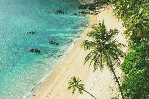 Dunk Island Round-Trip Water Taxi Transfer From Mission Beach - Foster Accommodation 4
