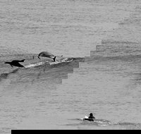 Overnight Tweed Coast Camping and Surfing Getaway From The Gold Coast - Foster Accommodation