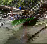 Hartley's Crocodile Adventures Day Trip from Palm Cove - Foster Accommodation