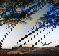 Port Douglas and Hartley's Crocodile Adventure Day Trip from Cairns - Foster Accommodation