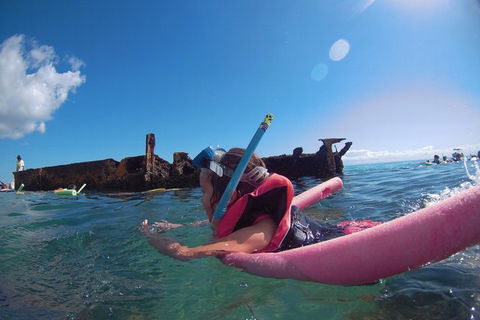 All Inclusive Dolphin And Tangalooma Wrecks Cruise Departing Gold Coast - Foster Accommodation 1