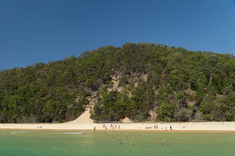 All Inclusive Dolphin And Tangalooma Wrecks Cruise Departing Gold Coast - Foster Accommodation 3