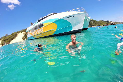 All Inclusive Dolphin And Tangalooma Wrecks Cruise Departing Gold Coast - Foster Accommodation 2