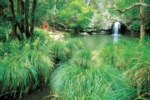 Explore Maleny, Montville, And Take A Swim Under The Waterfall. - Foster Accommodation 3