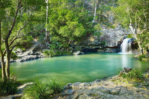 Explore Maleny, Montville, And Take A Swim Under The Waterfall. - Foster Accommodation 7