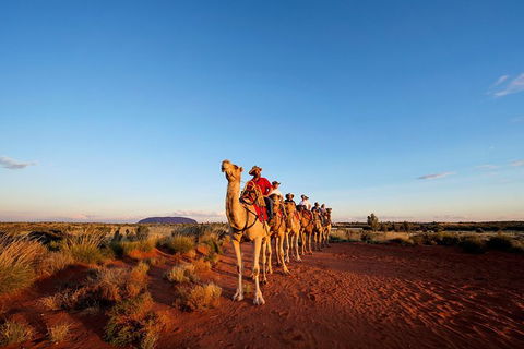 Uluru Small-Group Tour By Camel At Sunrise Or Sunset - Foster Accommodation 0
