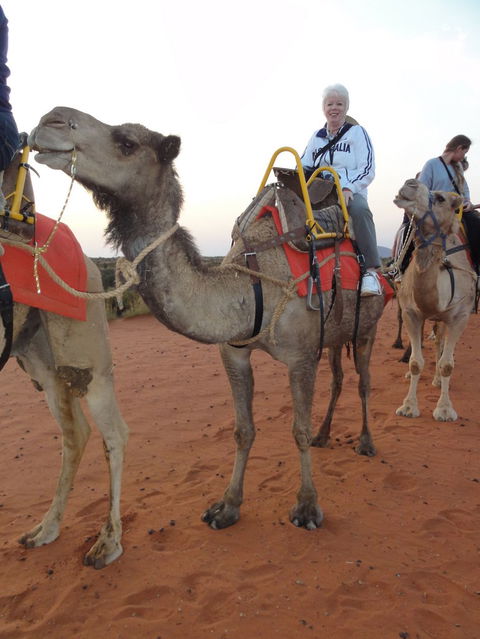 Uluru Small-Group Tour By Camel At Sunrise Or Sunset - Foster Accommodation 2