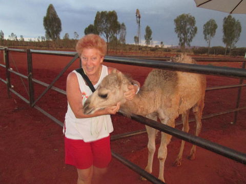 Uluru Small-Group Tour By Camel At Sunrise Or Sunset - Foster Accommodation 18