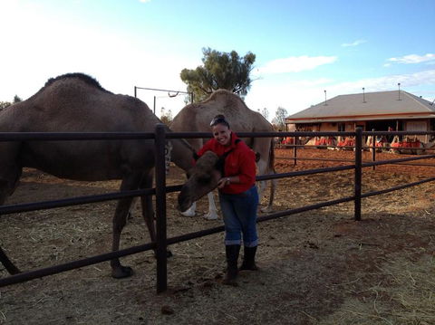 Uluru Small-Group Tour By Camel At Sunrise Or Sunset - Foster Accommodation 21