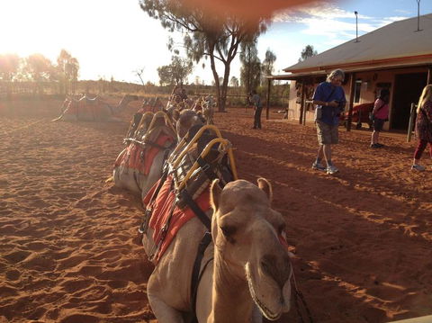 Uluru Small-Group Tour By Camel At Sunrise Or Sunset - Foster Accommodation 22