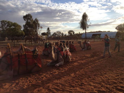 Uluru Small-Group Tour By Camel At Sunrise Or Sunset - Foster Accommodation 23