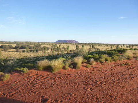 Uluru Small-Group Tour By Camel At Sunrise Or Sunset - Foster Accommodation 9