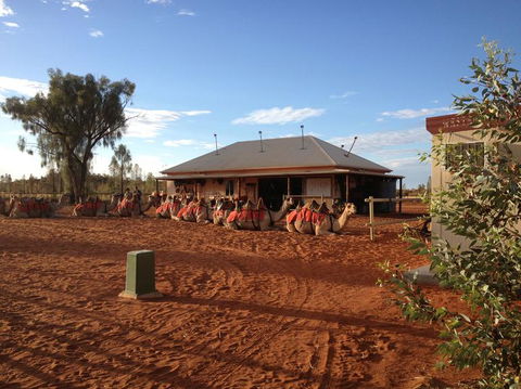Uluru Small-Group Tour By Camel At Sunrise Or Sunset - Foster Accommodation 20