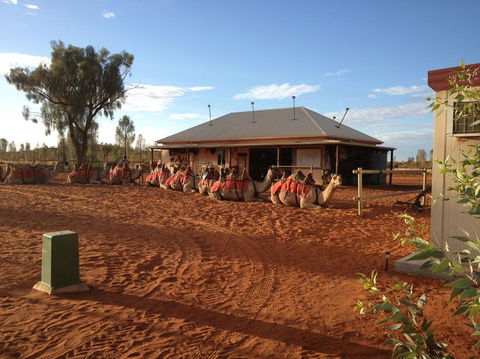 Uluru Small-Group Tour By Camel At Sunrise Or Sunset - Foster Accommodation 19