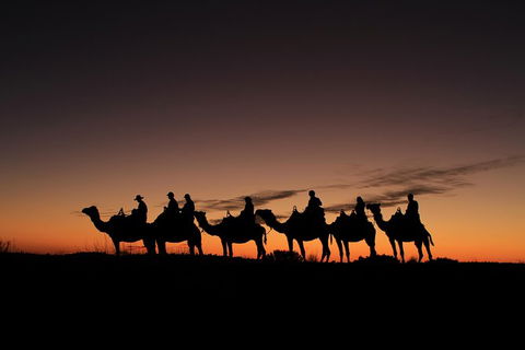 Uluru Small-Group Tour By Camel At Sunrise Or Sunset - Foster Accommodation 27