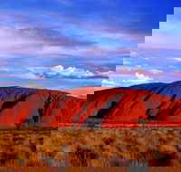 Uluru and Kata Tjuta Experience with BBQ Dinner - Foster Accommodation