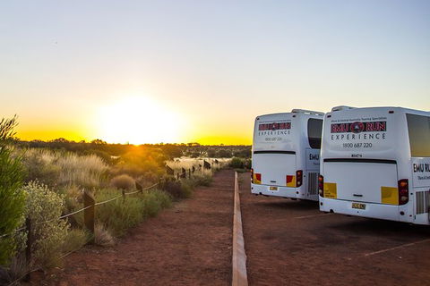 Uluru And Kata Tjuta Experience With BBQ Dinner - Foster Accommodation 4